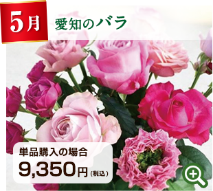 季節のお花定期便 5月 愛知県 「豊川ブランド」のバラ 詳細はこちら