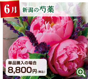 季節のお花定期便 6月 新潟県 雪解け水で育った芍薬 詳細はこちら