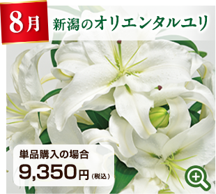 季節のお花定期便 8月 新潟県 オリエンタルユリ 詳細はこちら
