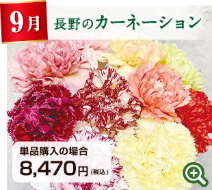 季節のお花定期便 9月 長野県 秋色カーネーション 詳細はこちら