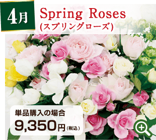 国産バラの定期便 4月 Spring Roses(スプリングローズ) 詳細はこちら