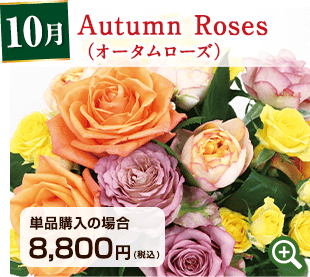 国産バラの定期便 10月 Autumn Roses（オータムローズ） 詳細はこちら