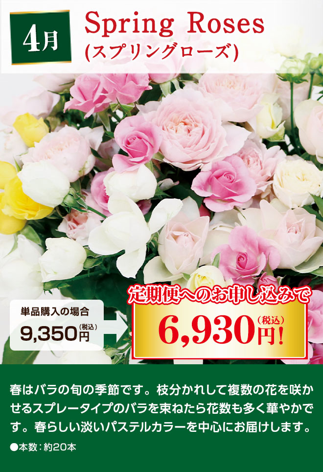 国産バラの定期便 Spring Roses 4月にお届け 単品購入時9,350円(税込)のところ定期便へのお申込みで6,930円