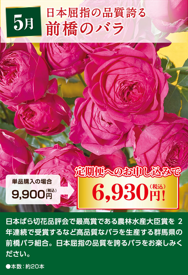 日本屈指の品質誇る前原のバラ 5月にお届け 単品購入時9,990円(税込)のところ定期便へのお申込みで6,930円