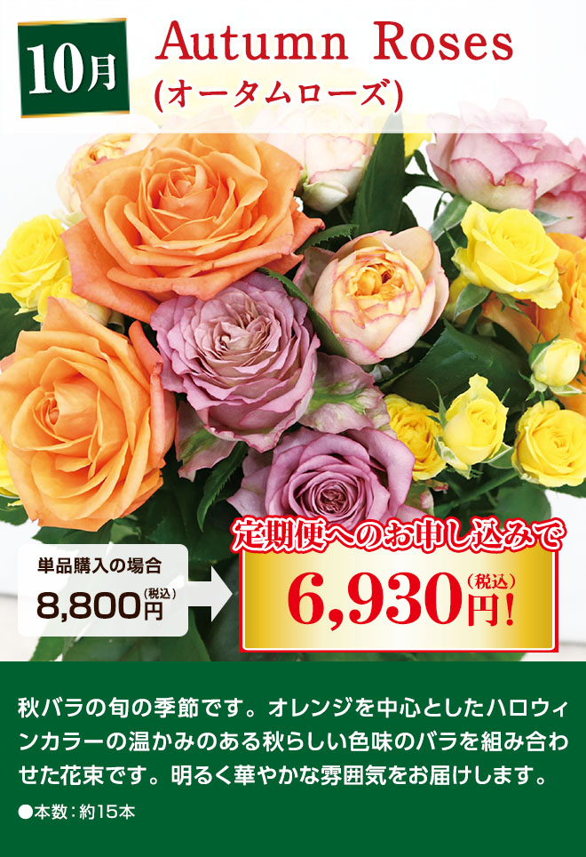 国産バラの定期便 Autumn Roses 10月にお届け 単品購入時8,800円(税込)のところ定期便へのお申込みで6,930円