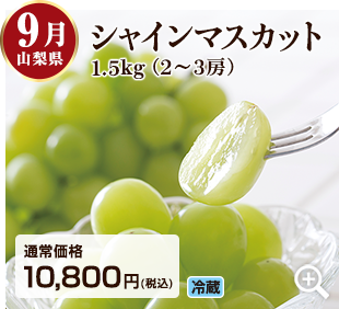 9月 香川県のシャインマスカット1.5kg(2~3房) 詳細はこちら