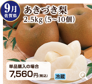 9月 香川県のニューピオーネ1.1kg(2~3房) 詳細はこちら