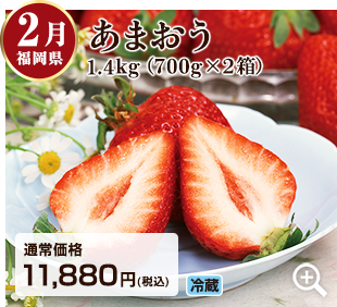 旬のフルーツ定期便 2月 福岡県のあまおう1.4kg(700gが2箱) 詳細はこちら