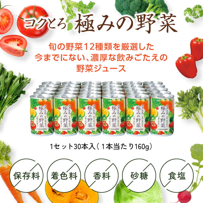 世田谷自然食品 コクとろ 極みの野菜 旬の野菜12種類を厳選した、今までにない、濃厚な飲みごたえの野菜ジュース