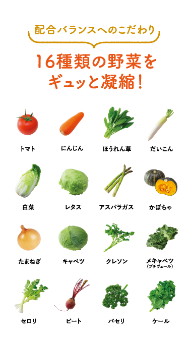 十六種類の野菜詳細情報6　配合へのこだわり